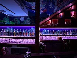 Junior The Pocket Bar